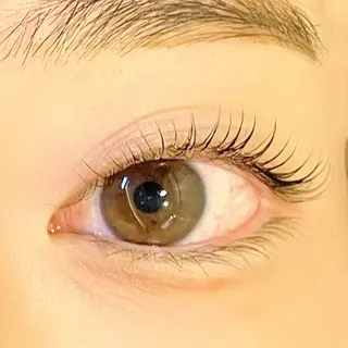 マツエク・マツパ まつげと眉毛のお店Sakura Lash【サクララッシュ】所属・【ダメージケア特化】 🌸 サクララッシュの眉毛・アイブロウイメージ