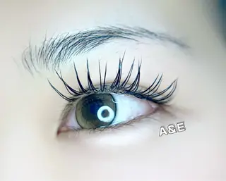 マツエク・マツパ Ａ&Ｅ所属・西岡 /マツエク/束感🎀のマツエク・マツパデザイン