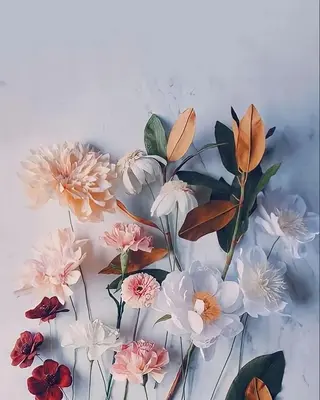 ネイル Cherienail yunaのネイルデザイン