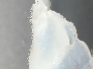 アイブロウ 【薬院】まつげ 眉毛のマツエク・マツパデザイン