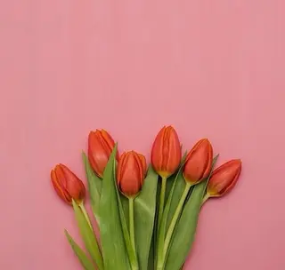 ネイル BINEL REINAのネイルデザイン