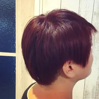 ショート カラー 金崎 新吾のヘアスタイル