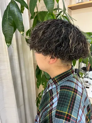 ミディアム パーマ メンズ 田澤 史悠のヘアスタイル