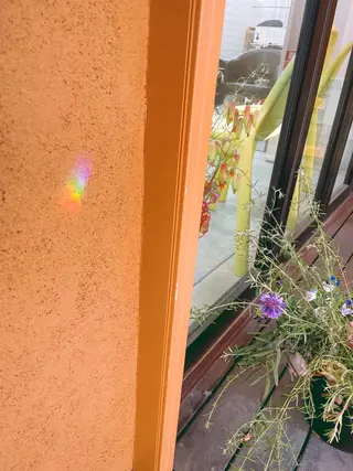 関 京磨のヘアスタイル