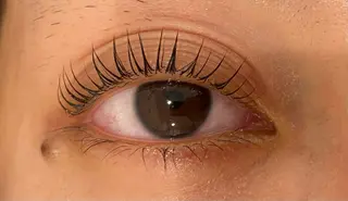 マツエク・マツパ Daisy lash 京橋店堀井のマツエク・マツパデザイン