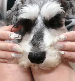 ネイル 大門浜松町 ネイルのネイルデザイン