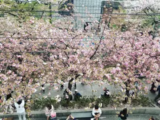 spa hair  ark 富井直美のヘアスタイル