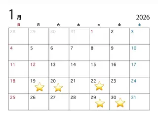 カラー カワサキ ミクのヘアスタイル