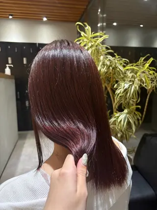 カラー 🌿レイヤー/暖色/ 艶カラー/Rukiのヘアスタイル