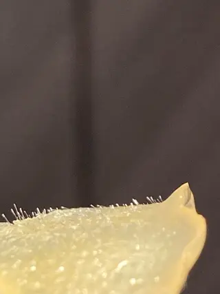 DARS.WE 渡邉りえのエステ・リラクイメージ