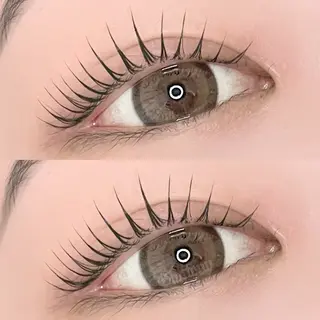 マツエク・マツパ Gluttony/ ｸﾞﾗﾄﾆｰのマツエク・マツパデザイン