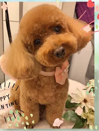 脱毛サロン RP（ルピ）のエステ・リラクイメージ