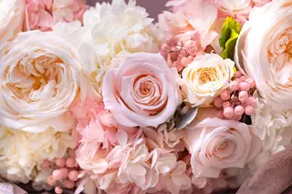 Salon'sDoo Nのネイルデザイン