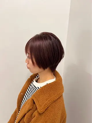 ショート カラー 田口 望愛のヘアスタイル