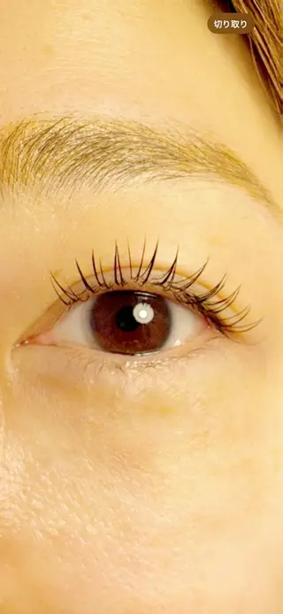 マツエク・マツパ Arinco byFate所属・Anto By Fateのマツエク・マツパデザイン