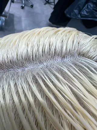 ショート カラー 堀江 /木下椋麻のヘアスタイル