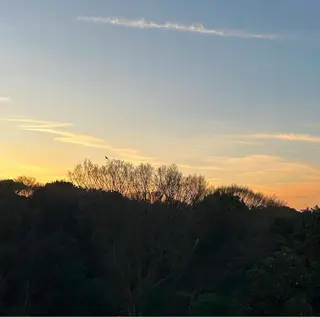 セミロング カラー パーマ ヘアアレンジ メンズ キッズ GOTODAY SHAiRE SALON (原宿本店)所属・stylist 🎀 kanaのその他イメージ