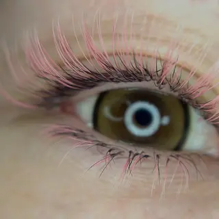 マツエク・マツパ OKIKA所属・【OKIKA】 らん🦖🌈🧡のマツエク・マツパデザイン