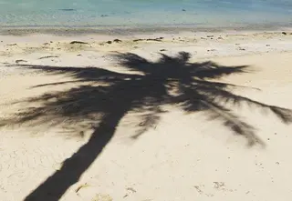 𝐘𝐎𝐒𝐇𝐈 𝐌𝐈🌞🏝のマツエク・マツパデザイン