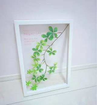 miii eriのエステ・リラクイメージ