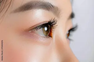 マツエク・マツパ MA YUのマツエク・マツパデザイン