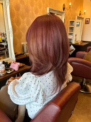 セミロング カラー Pixie Bob 🐈‍⬛　位田のヘアスタイル