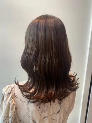 ミディアム 銀座/韓国レイヤー/ 艶カラー🍓原田侑依のヘアスタイル
