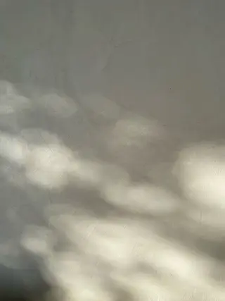 Bianca長津田 Mukae⋆.✶🖤のネイルデザイン