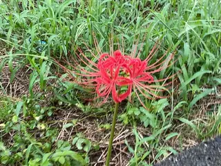 プライベートサロン 花水月のエステ・リラクイメージ