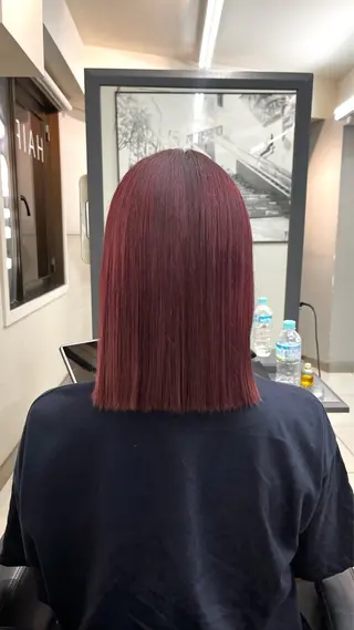 カラー 顔まわり/ボブウルフ 🤍愛唯(めい)のヘアスタイル