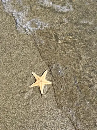 ∴Sanae. ∴ トータルビューティーのマツエク・マツパデザイン