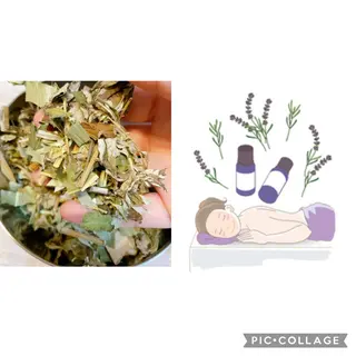 伊藤 順子のその他イメージ