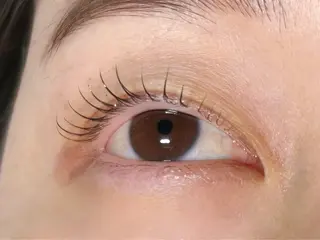 マツエク・マツパ Melia Chieのマツエク・マツパデザイン