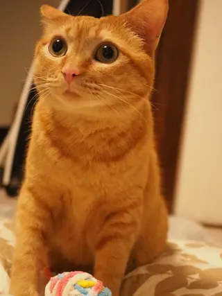 kiki nail 二子玉川のネイルデザイン