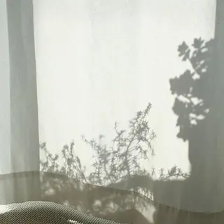 マツエク・マツパ miien(SALONVILLAGE内)所属・MOE /渋谷・明治神宮前のマツエク・マツパデザイン