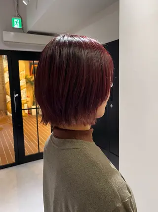 ショート カラー 橋本 萌々香のヘアスタイル