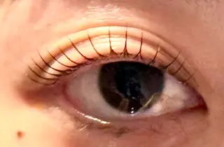 マツエク・マツパ Venus Beauty銀座のマツエク・マツパデザイン