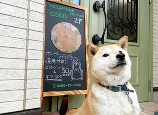 YOSAPARK COCO 本庄けや木店所属・YOSAPARK COCO本庄けや木店のエステ・リラクイメージ