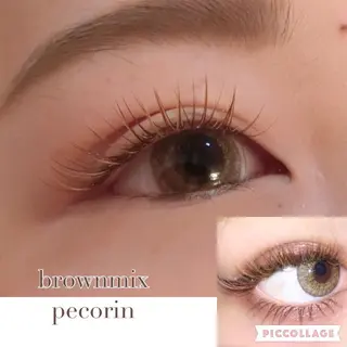 まつエク Clover所属・Clover marikoの眉毛・アイブロウイメージ