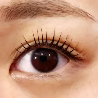 マツエク・マツパ Celeste Venus所属・🧸Celeste Venusのマツエク・マツパデザイン