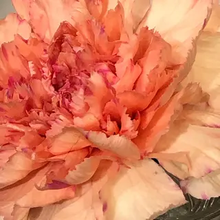 ❤︎︎韓国ヘア❤︎︎ 𝑺𝒉𝒊𝒉𝒐のヘアスタイル