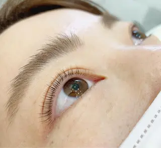 マツエク・マツパ Tink 大船所属・🌼Tink tsuchidaのマツエク・マツパデザイン