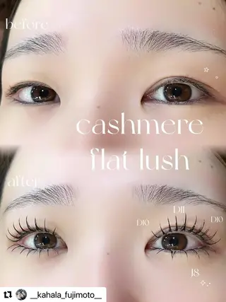 マツエク・マツパ Fujimoto 🦭⸝⋆꙳のマツエク・マツパデザイン