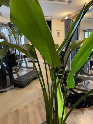 FLEX整骨院 ホウジョウコウヘイのエステ・リラクイメージ