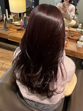 カラー 高橋 乙葉のヘアスタイル