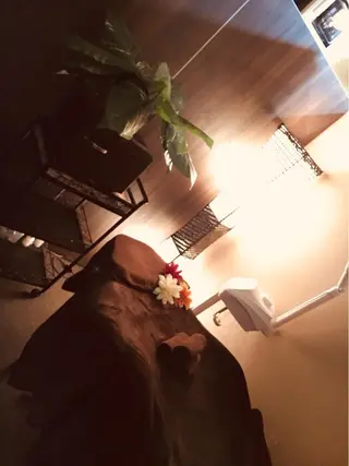 佐藤 鈴華のエステ・リラクイメージ