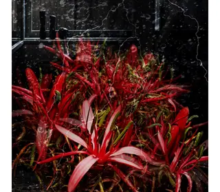 POLA愛美　高石店所属・🌱肌質改善🌱 POLA高石店のエステ・リラクイメージ