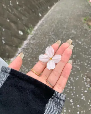 𝘮 𝘢 𝘰 .のマツエク・マツパデザイン