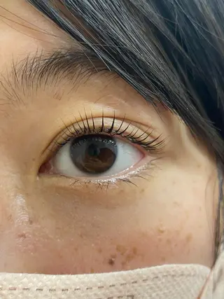 マツエク・マツパ プラスアイ　横浜西口店所属・プラスアイ横浜店 ☺︎のマツエク・マツパデザイン