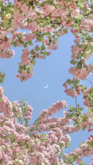 Bianca大宮店 マヘリ未奈🤎のマツエク・マツパデザイン